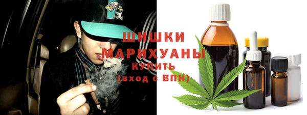 дмт Горно-Алтайск