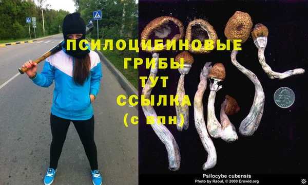 метамфетамин Горнозаводск