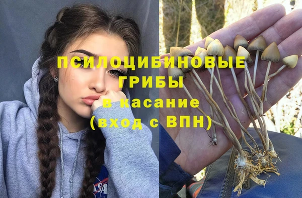 дмт Горно-Алтайск
