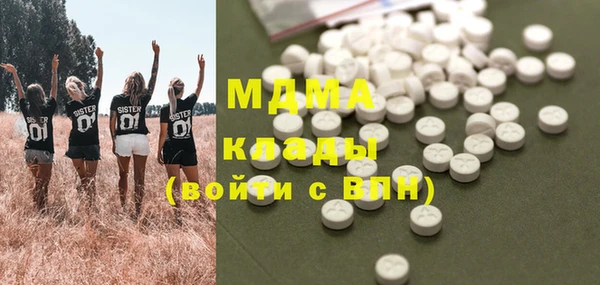индика Вязьма