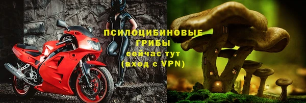 mix Горняк